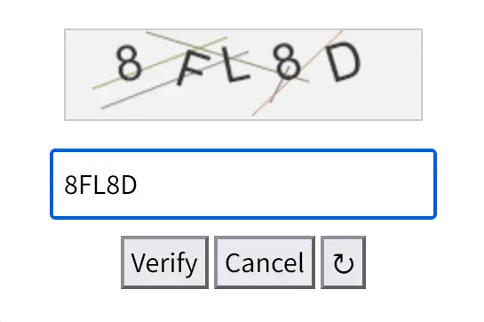Verify Captcha Page